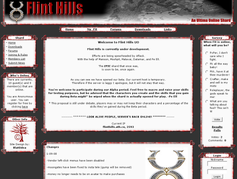 Game Server Website Graphic Design